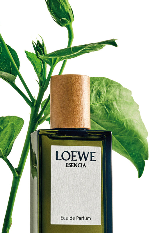 Loewe Esencia EDP